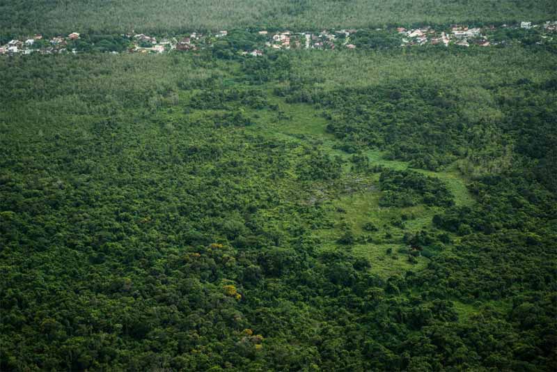 APA Baleia Sahy segue intacta segundo monitoramento aéreo