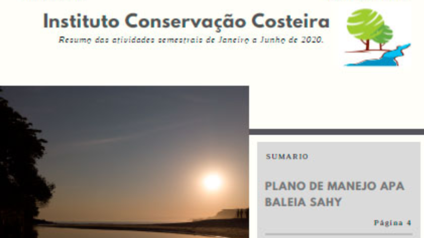 Relatório de atividades ICC - Confira na íntegra o relatório com o resumo das atividades semestrais de Janeiro a Junho de 2020.